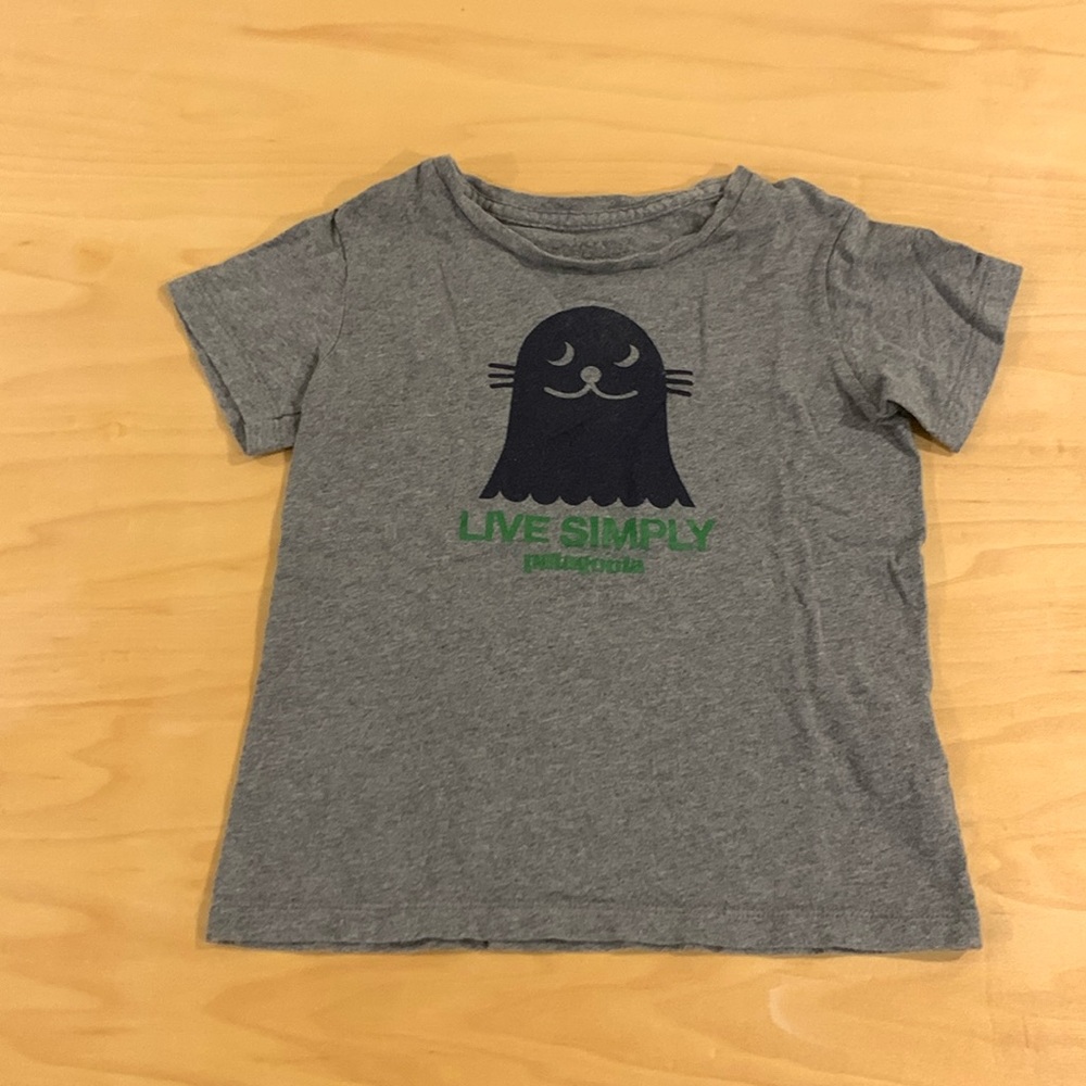 Patagonia 4T shirt